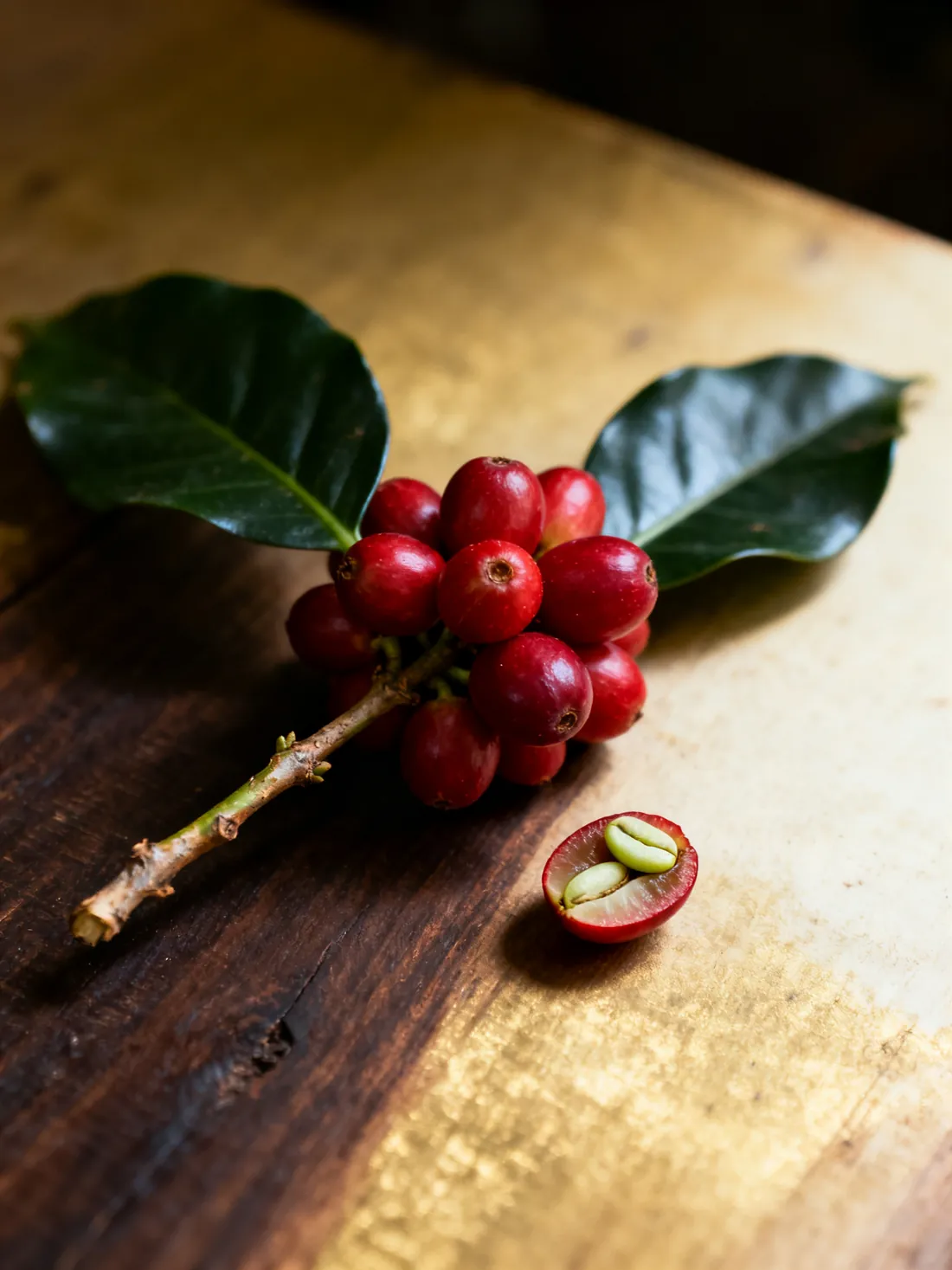 A ripe coffee cherry cut open, showing the two seeds inside.